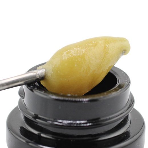 Mangos | Live Rosin | JAM