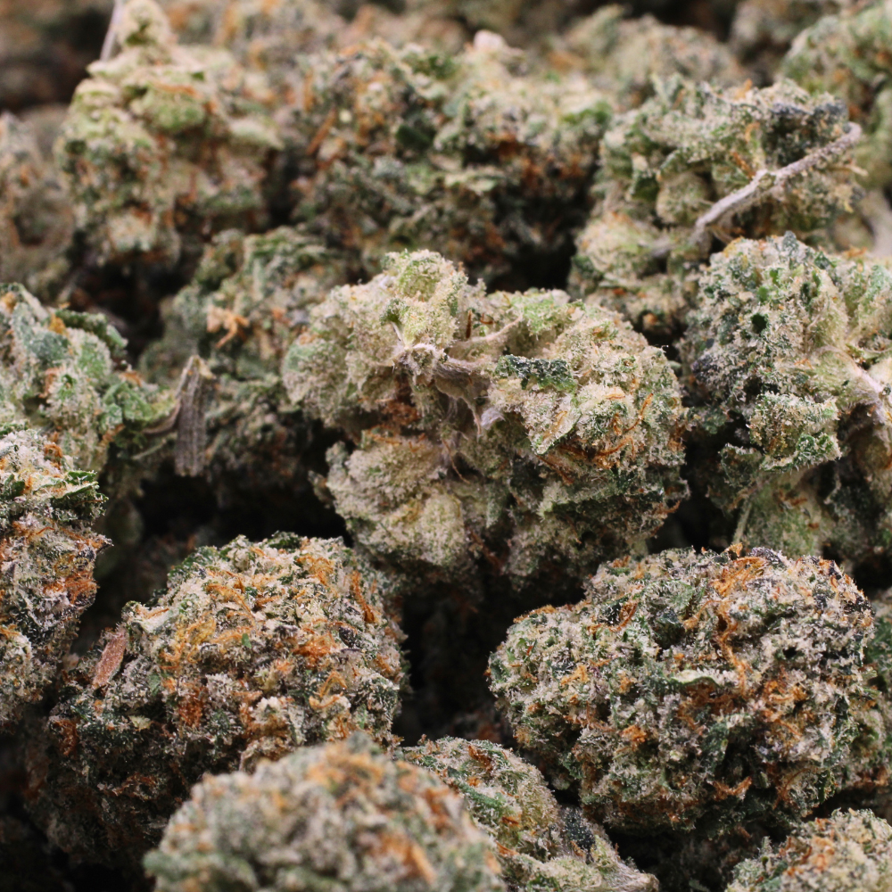 Biscotti | THCa Flower | SMALLS