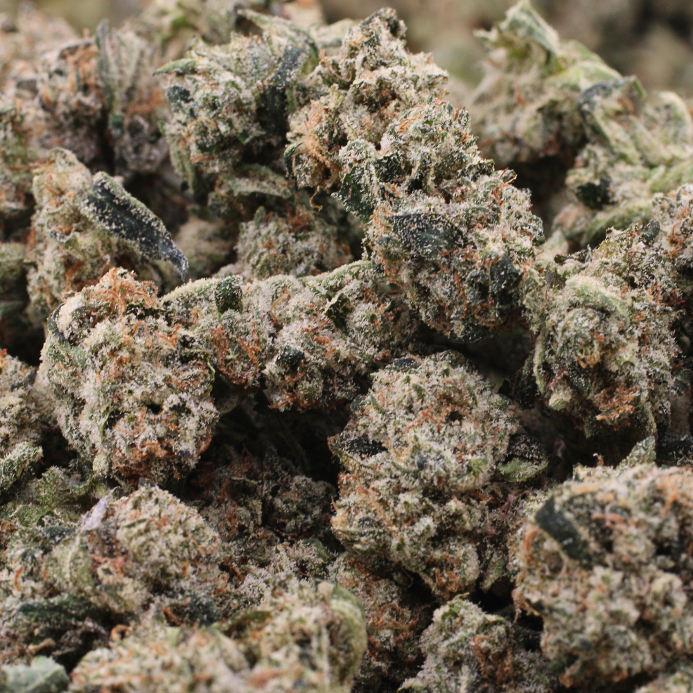 Jet Fuel OG | THCa Flower | SMALLS