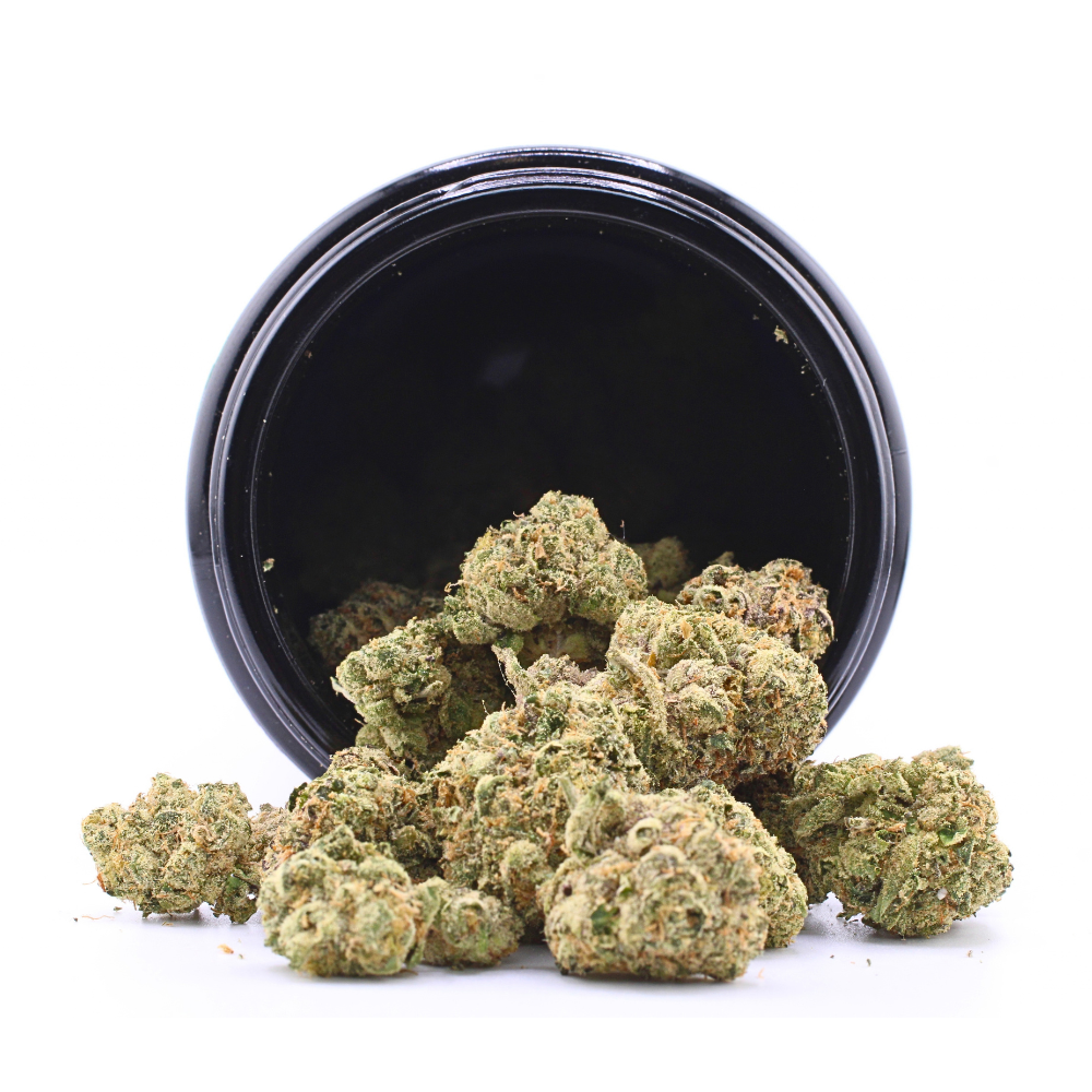 Billy V OG | THCa Flower | Reserve Batch - Image 3